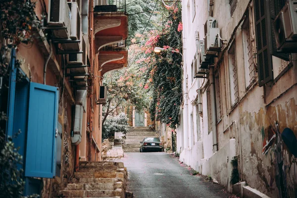 Вид Ливана — стоковое фото