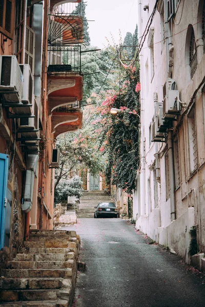 Weergave van Libanon — Stockfoto