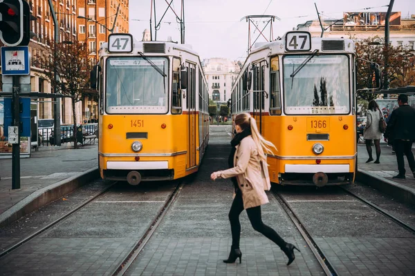 Budapeşte manzaralı, hungary — Stok fotoğraf