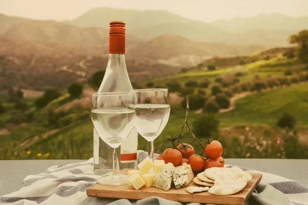 Picknick mit Wein — Stockfoto