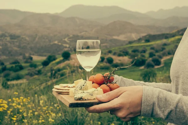 Şaraplı piknik — Stok fotoğraf