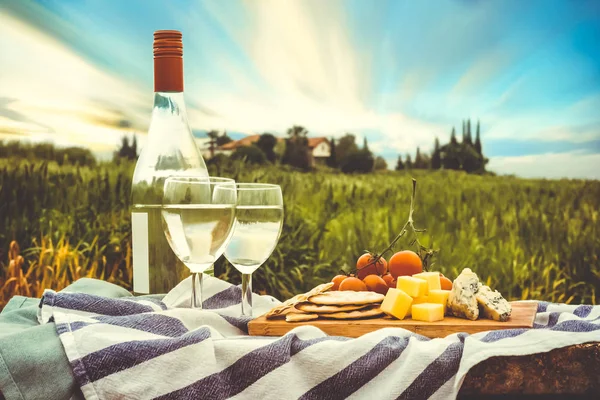 Şaraplı piknik — Stok fotoğraf