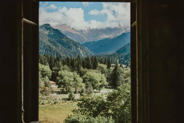 Sommer — Stockfoto