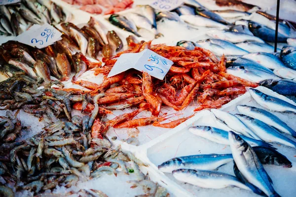 Stockfish italy hi-res stock photography and images - Alamy