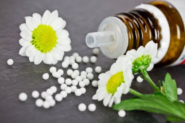 camomiles tahta kaşıkla globüller