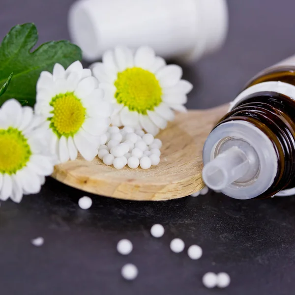 camomiles tahta kaşıkla globüller