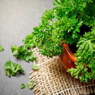 taze ve yeşil maydanoz yakın çekim