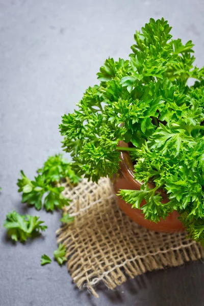 taze ve yeşil maydanoz yakın çekim