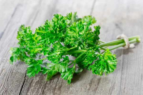 Frische und grüne Petersilie aus nächster Nähe — Stockfoto