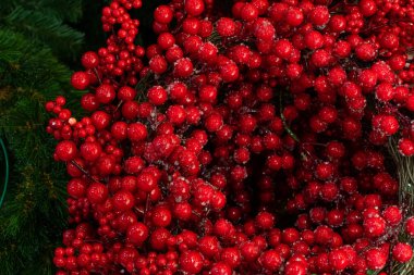 Buzlu kutsal meyveler, yeni yıl manzarası. Çelenge takılmış kırmızı yapay kutsal meyveler. Arkaplan duvar kağıdı arkaplanı