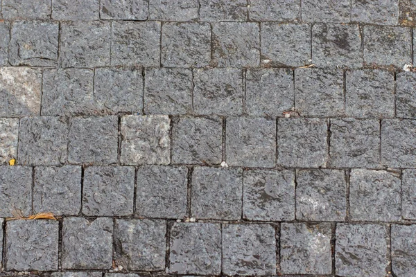 The textured surface of the trowalk, square smooth gray stones, paving pavement. Фон текстуры — стоковое фото