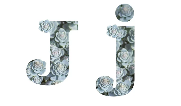 Velké a malé písmeno J izolované na bílém pozadí. Anglická abeceda zdobená — Stock fotografie