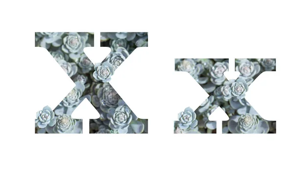 Letra X alfabeto inglês minúsculas e maiúsculas isoladas em fundo branco. Carta prata cinza isolado — Fotografia de Stock