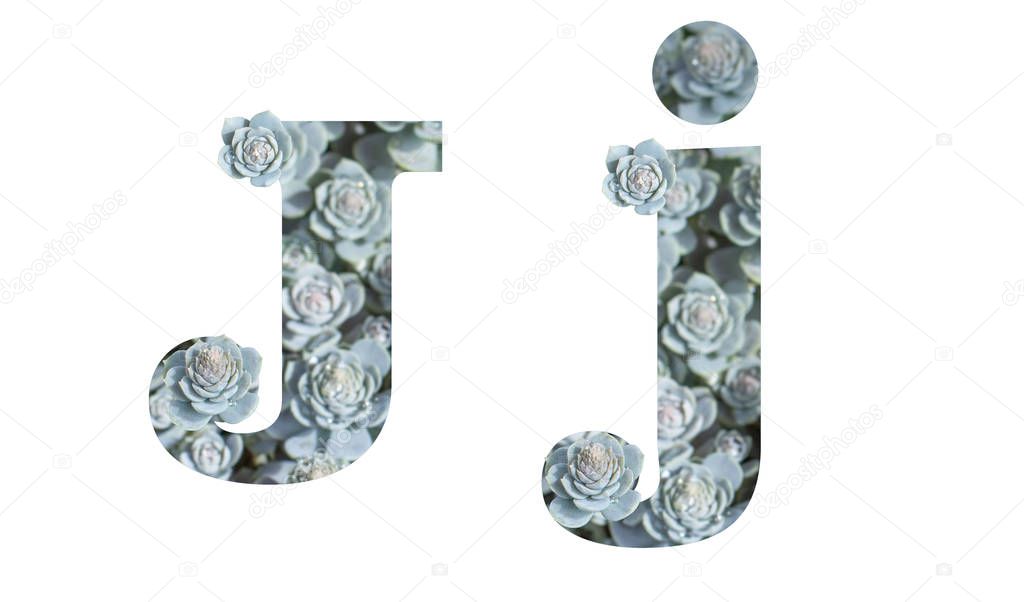 Letter J uppercase and lowercase isolated on a white background. English alphabet decorated