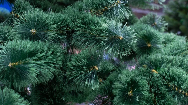 Yapay Noel çamı, kabarık dallı yakın plan, arka plan tasarımı. Çevre dostu yeni yıl ladini, Noel tatili dekorasyonu — Stok fotoğraf