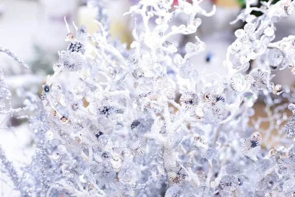 Abstrait defocus neigeux fabuleuse décoration de plantes coralliennes. Branche brillante étincelante, fond pour la conception — Photo