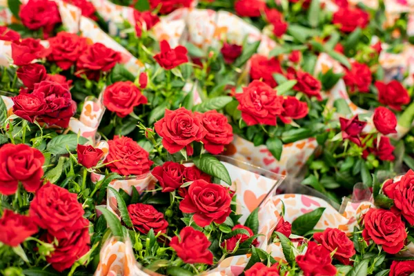 Red Roses Bouquets Background Backdrop Design Small Blossom Flowers Bushy — Stock Photo, Image