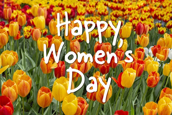 Szczęśliwego Dnia Kobiet Tekst Tle Czerwonych Żółtych Tulipanów Pozdrowienia Plakatu — Zdjęcie stockowe