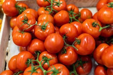 Süpermarketin çekmecesindeki bir dalda güzel kırmızı domatesler. Satılık taze organik çiftlik domatesi. Markette Taze Sebze Bölümü