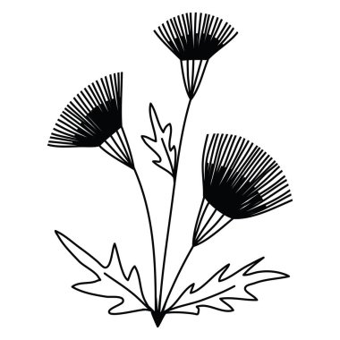 Arctium lappa burdock çiçek hattı. Üç çiçek tomurcuğu ve ince saplı yaprakları olan basit bir çiçek resmi, vektör çizgisi siyah karalama tarzı.