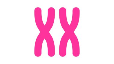 X kromozomu ikonu. Feminizm vektör elementleri. Feminizm bayrak tasarımı