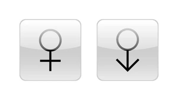 Cinsiyet Sembolü Düğmeleri Feminizm Vektör Elementleri Feminizm Bayrak Tasarımı — Stok Vektör