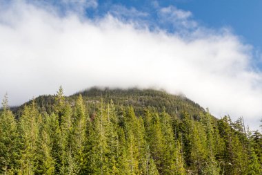 Bulutların üzerinde rocky Dağları zirve toplantısı yapıldı. Manzarası ile yumuşak beyaz bulutların rocky Dağları üzerinde ufuk çevresinde.