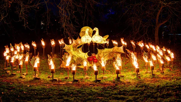 Night Ring Fires Bird Figures Middle Night Darkness Set Fires Royalty Free Stock Images