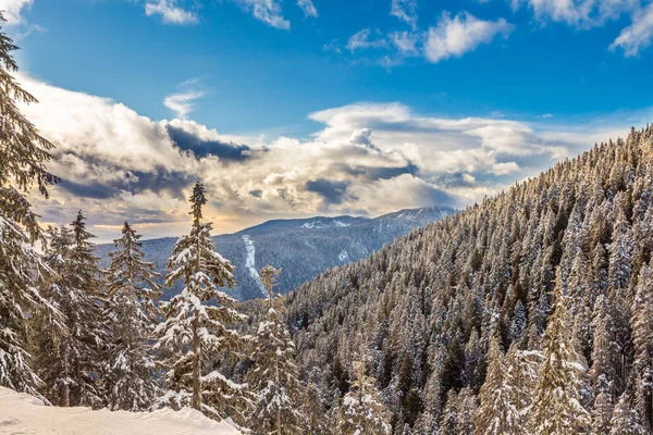 Kış manzara ile karlı ormanda yüksek dağlarda güneşli bir gün. Güneşli kış günü, kar, parlak ve mavi manzarası bulutlar ve ufukta dağ orman ağaç tepelerinin kaplı.