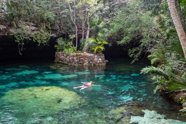 Mexican Cenote Cavern Fresh Water Water Tropical Jungle Luxury Natural Stock Image