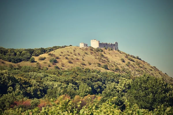 Castello Devicky Pavlov.Vineyards sotto Palava. Repubblica Ceca Regione vinicola della Moravia meridionale . — Foto Stock