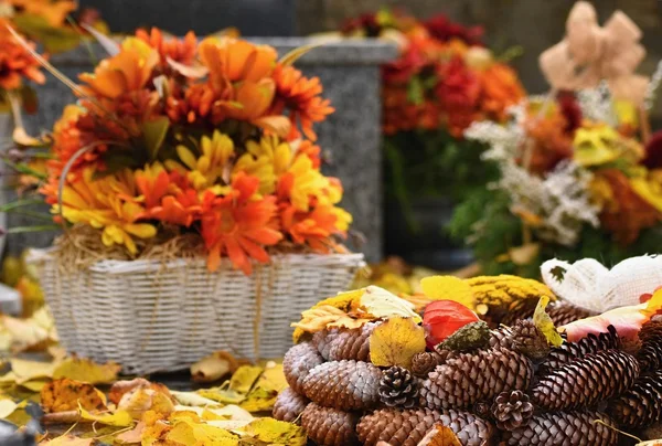 Concept nature automne.Belles décorations d'automne. Fleurs d'automne colorées au cimetière - Halloween . — Photo