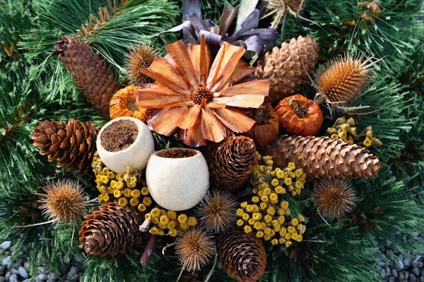 Autunno natura concettuale.Belle decorazioni autunnali. Fiori colorati autunnali al cimitero - Halloween . — Foto Stock