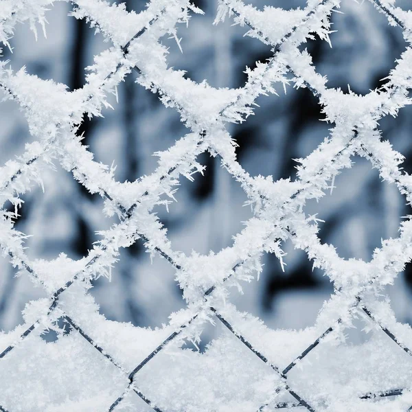 Buz gibi çit. Güzel kış Mevsimlik arka plan. — Stok fotoğraf