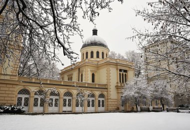 Gotik kilise. Çek Cumhuriyeti Brno şehir. Tanrı'nın annesi Şapeli. Kilise St. Anne's Hastanesi. Kış manzarası - ayaz ağaçlar. 
