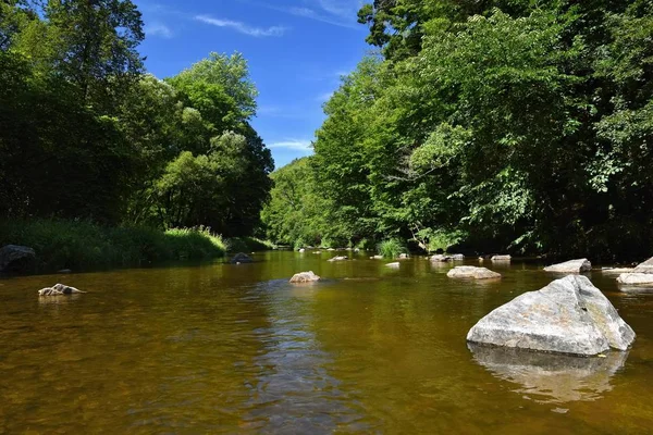 Szép nyári táj, a folyó, az erdő, a nap és a kék eget. Természetes háttér. — Stock Fotó