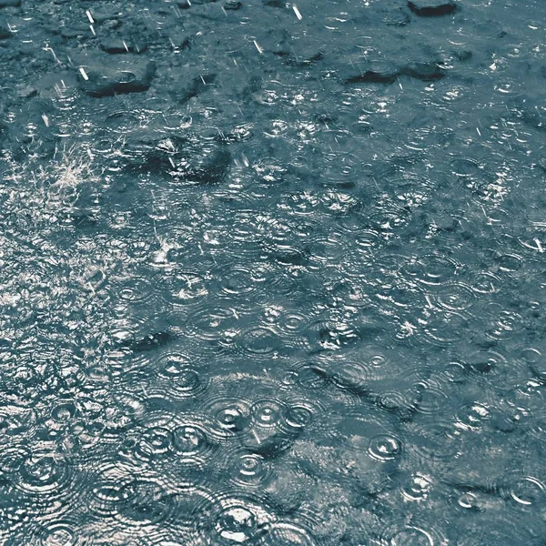 Βροχή. Όμορφο αφηρημένο φόντο με κακές καιρικές συνθήκες. Σταγόνες βροχής που πέφτουν μέσα στο νερό. — Φωτογραφία Αρχείου