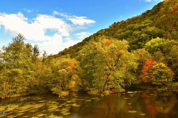 Krásná podzimní krajina s řekou a barevné stromy v lese při západu slunce. Rakousko Dyje Valley National Park. — Stock fotografie