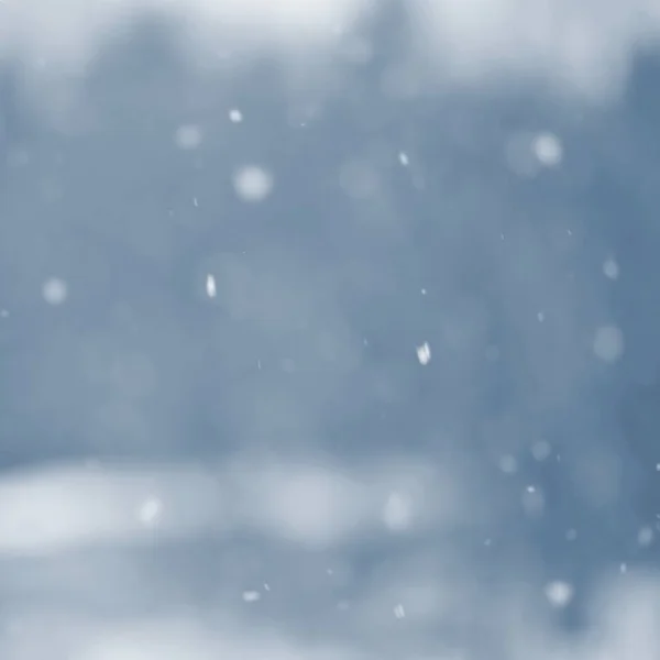 눈입니다. 아름 다운 겨울 배경 계절 자연 그리고 겨울의 날씨. 떨어지는 눈 겨울 풍경. — 스톡 사진