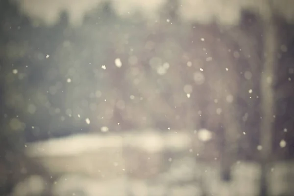 눈입니다. 아름 다운 겨울 배경 계절 자연 그리고 겨울의 날씨. 떨어지는 눈 겨울 풍경. — 스톡 사진