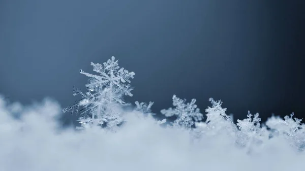 Floco de neve. Macro foto de cristal de neve real. Belo fundo de inverno natureza sazonal e o tempo no inverno . Imagem De Stock