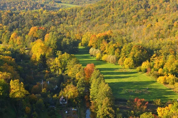 Jesienią. Piękne kolorowe liście na drzewach w jesiennym czasie. Naturalne sezonowe tło koloru. — Zdjęcie stockowe