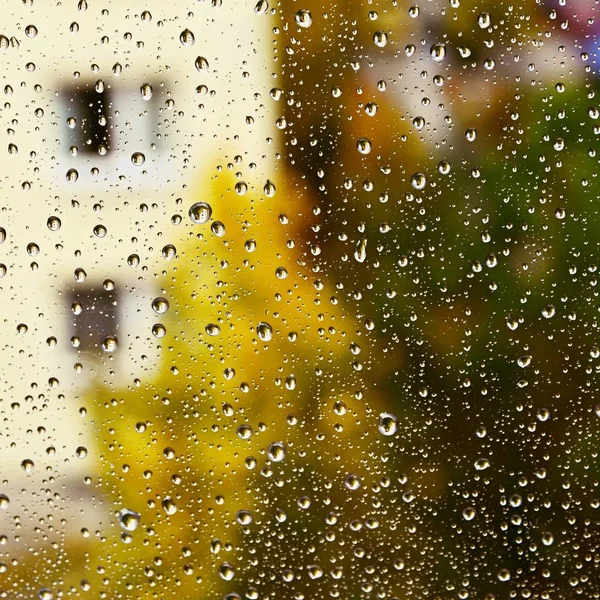 Pioggia. Autunno sfondo stagionale con gocce di pioggia sulla finestra . — Foto Stock