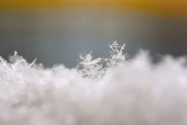 Снежинка Фото Настоящего Снежного Кристалла Красивый Зимний Фон Сезонная Природа — стоковое фото