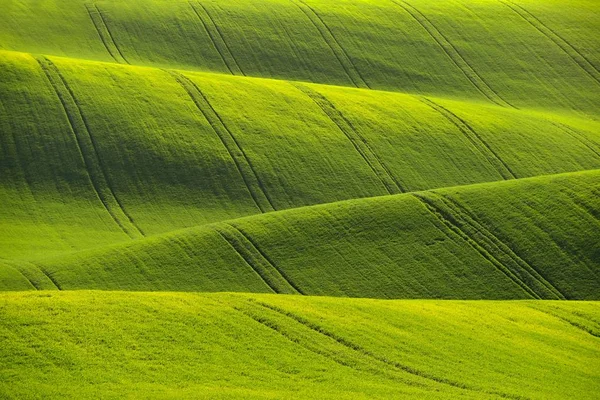 Morawski Toskania. Czechy - Europa. — Zdjęcie stockowe