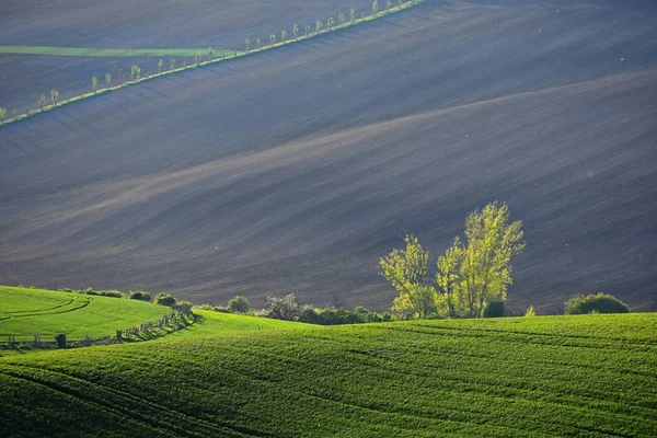 Moravian Tuscany � beautiful spring landscape in south Moravia near Kyjov town. Czech Republic - Europe. — Stock Photo, Image