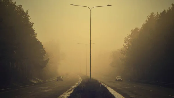 Cars in the fog. Bad winter weather and dangerous automobile traffic on the road. Vehicles in fog. — Stock Photo, Image