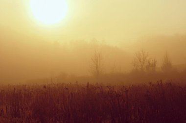 Manzaralı, sisli ve güneşli güzel bir sabah görüntüsü.