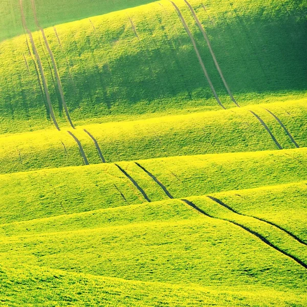 Bela Paisagem Primavera Com Campo Colinas Grama Pôr Sol Ondas — Fotografia de Stock