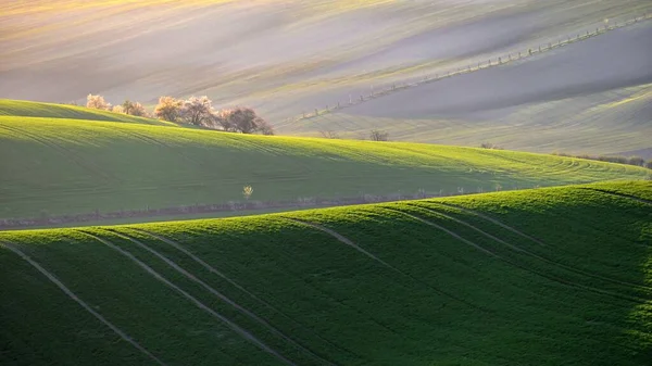 Vackert Vårlandskap Med Gräsfält Vid Solnedgången Vågor Naturen Mähren Toscana — Stockfoto